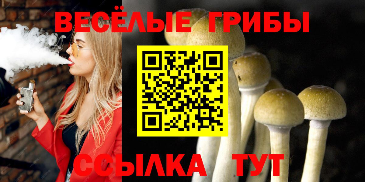 Урус-Мартан  Псилоцибиновые грибы ЛСД  Вход с VPN 