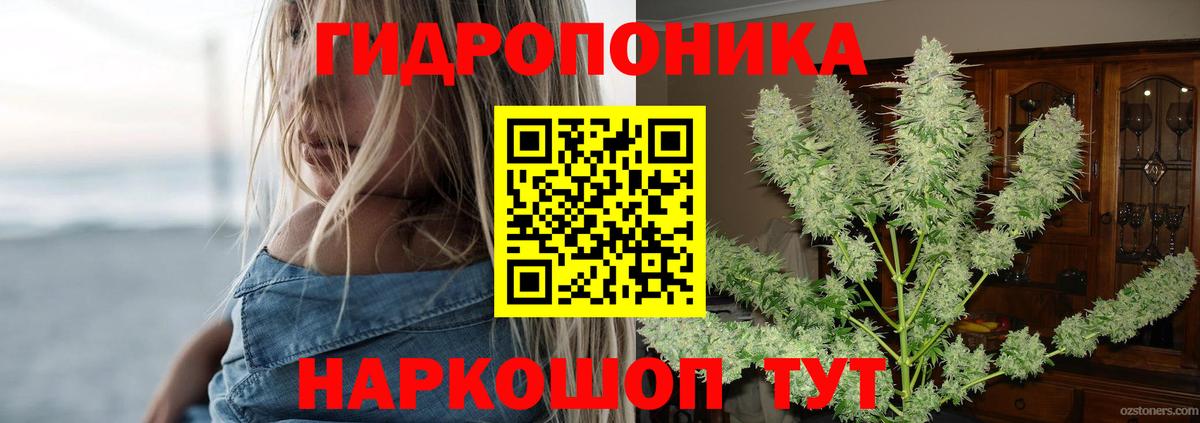 Урус-Мартан  Конопля ГИДРОПОН  Вход с VPN  Конопля VHQ 